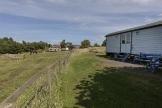 Cow Parsley Shepherd's Hut - 8