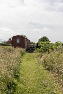 Foxglove Shepherd's Hut - 9