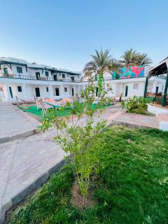 فندق جرين فالي دهب - Green Valley Hotel - 9