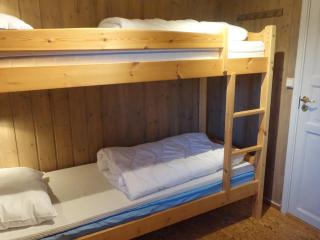 Familievennlig Hytte Rett Ved Sentrum - 5