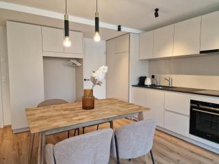 B Post Apartment , freshly renovated, top location near Interlaken - 7