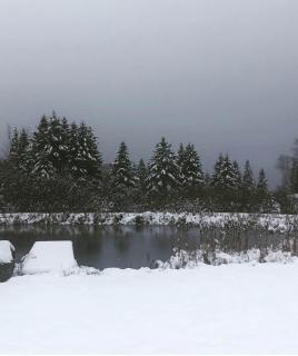 The Angler | Cross Stone Cabins • Walk to Rangeley Lake & Do - 4