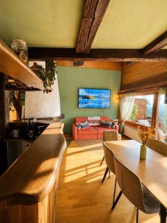 Duplex loft, south-facing terrace, parking - 7