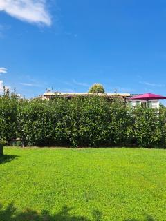 Le jardin de Domi - 7