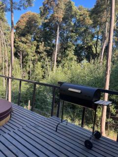 Cabaña selva Valdiviana Tinaja uso ilimitado - 2