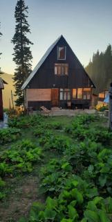 Bakhmaro Lodge - 8
