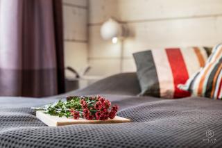 Levi Base Camp South by Hilla Villas - 4