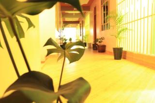 KilimaVista Homes 1 bedroom apartment - 3