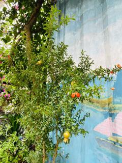 LITTLE TRANG AN HOMESTAY - 2