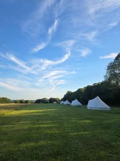 Readers Field Glamping - 3