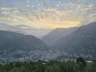 Himalayan Whisper - 6
