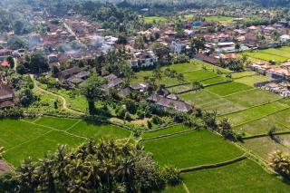 Dusun Villas Complex Ubud - 9