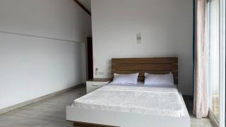 Hills and Heritage villa - 3