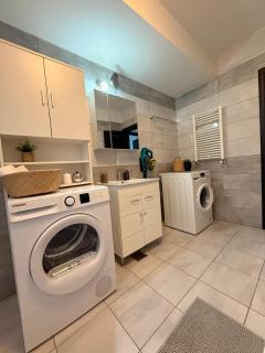 Grey Apartment-Prelungirea Ghencea - 6