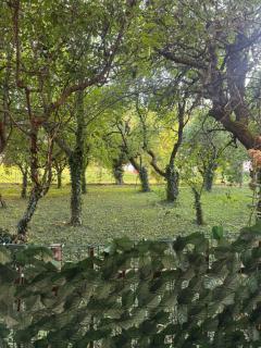 Olive Nest Ohrid - 4