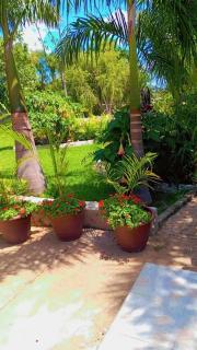 Golden Acres modern charm - 2325 - 6