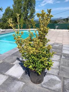Casa de vacanta La Fane - 8