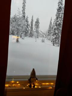 Ruka Frost Peak - 9