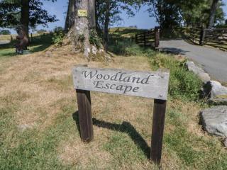 Woodland Escape - 9
