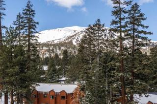 Hillside #508 - Cozy Studio w King Bed Fireplace & Kitchenette - 8