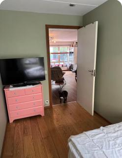 Cosy room in shared apartment in the heart of Oslo - 1