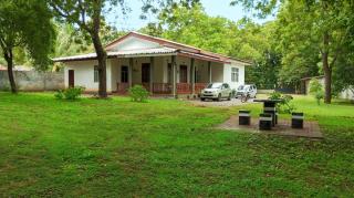 Kohomba shade guest house - 8