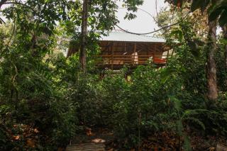 Madre Selva Eco Lodge - 9