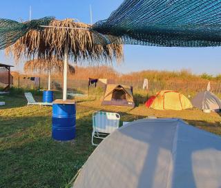 Free People Camping - 2