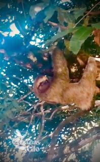 The Monkey Cabin, Walk to the beach! - 2