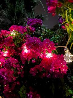 Apartment with Garden - 5