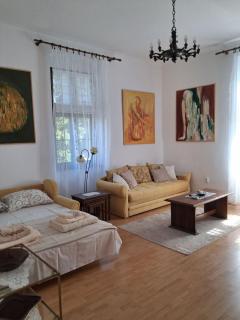 Apartman Vila Zdravlje - 6