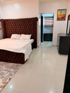 Luxurious 3 bedroom apartment in kano - 1