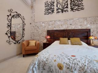Beautiful apartment with pool in the VIP area of Paseo Montejo - 3