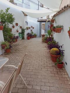 ALOJAMIENTO RURAL EL CARRIL - 9