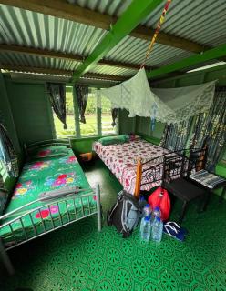 Navi Homestay - 3