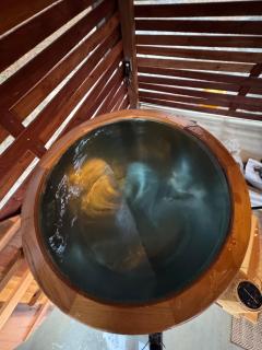 Firefly Hollow Couples Reconnect and Rejuvenate - 1