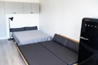 Stylish and newly renovated downtown apartment - 4