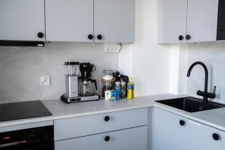 Stylish and newly renovated downtown apartment - 3