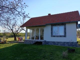dr Genius Cottage - Negotin - 0