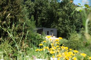 Tinwood Cabins The Descent, Cozy 3 min to Rossland - 5
