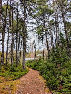 Lake front cottage 5 bedrooms bright open concept - 9