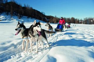 Landal Brandnertal - 3