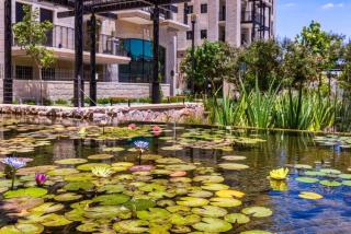 1 Br Apartment In Jerusalem Estates W Room - Jerusalém - 4