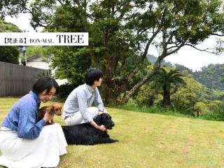 "Bon-Mal Tree"BON-MAL TREE - Vacation STAY 20699v - 1