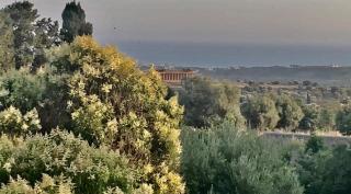 La Villa di Minerva - 7