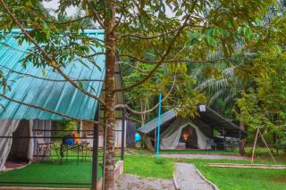 Khaosok Eco Jungle Camp - 7