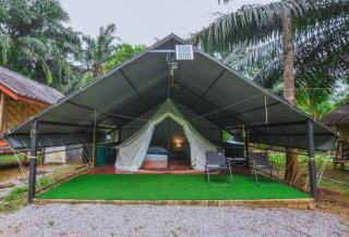Khaosok Eco Jungle Camp - 9