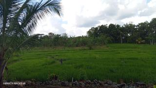 Sunset safari Resort and camp - 4