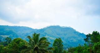 Lovely Homestay - 8