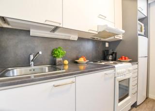 Helmiapartments Sotkamo - 1